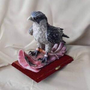 ÁGUILA SOBRE GUANTE